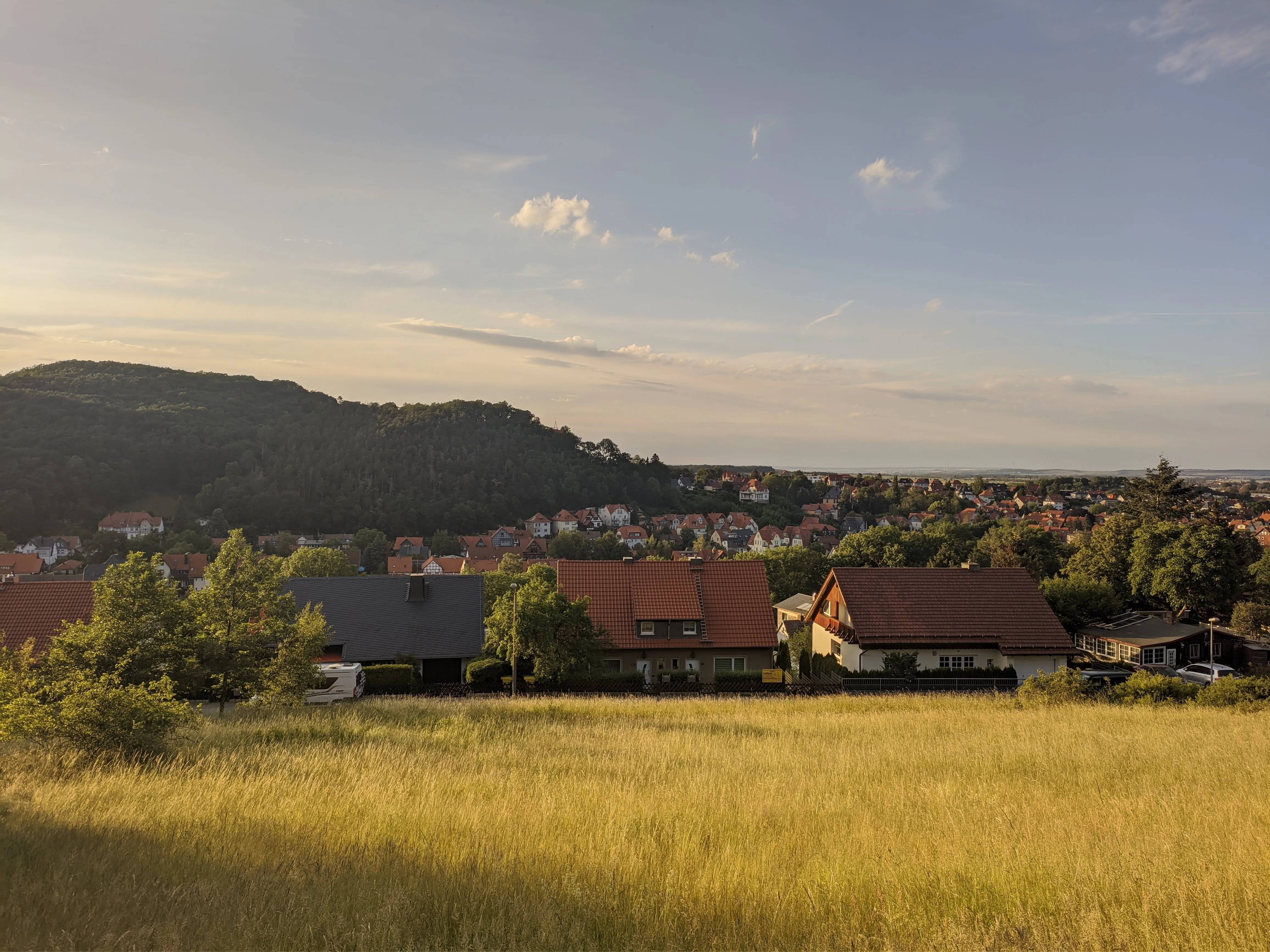 Golden field and village homes under an evening sky